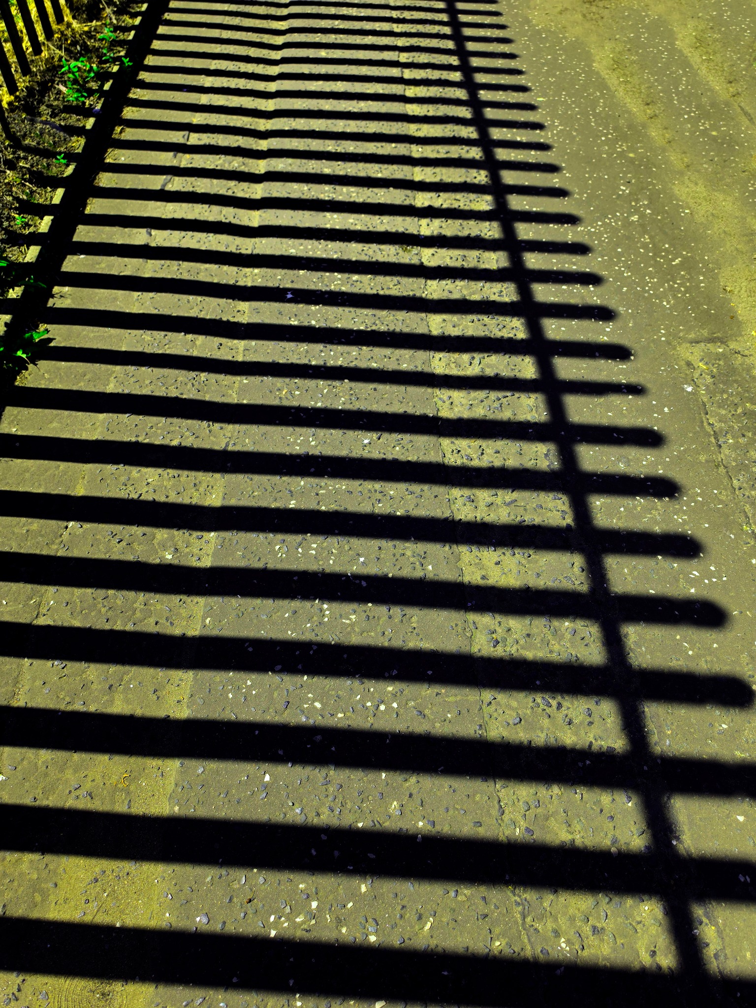 Parallel Lives